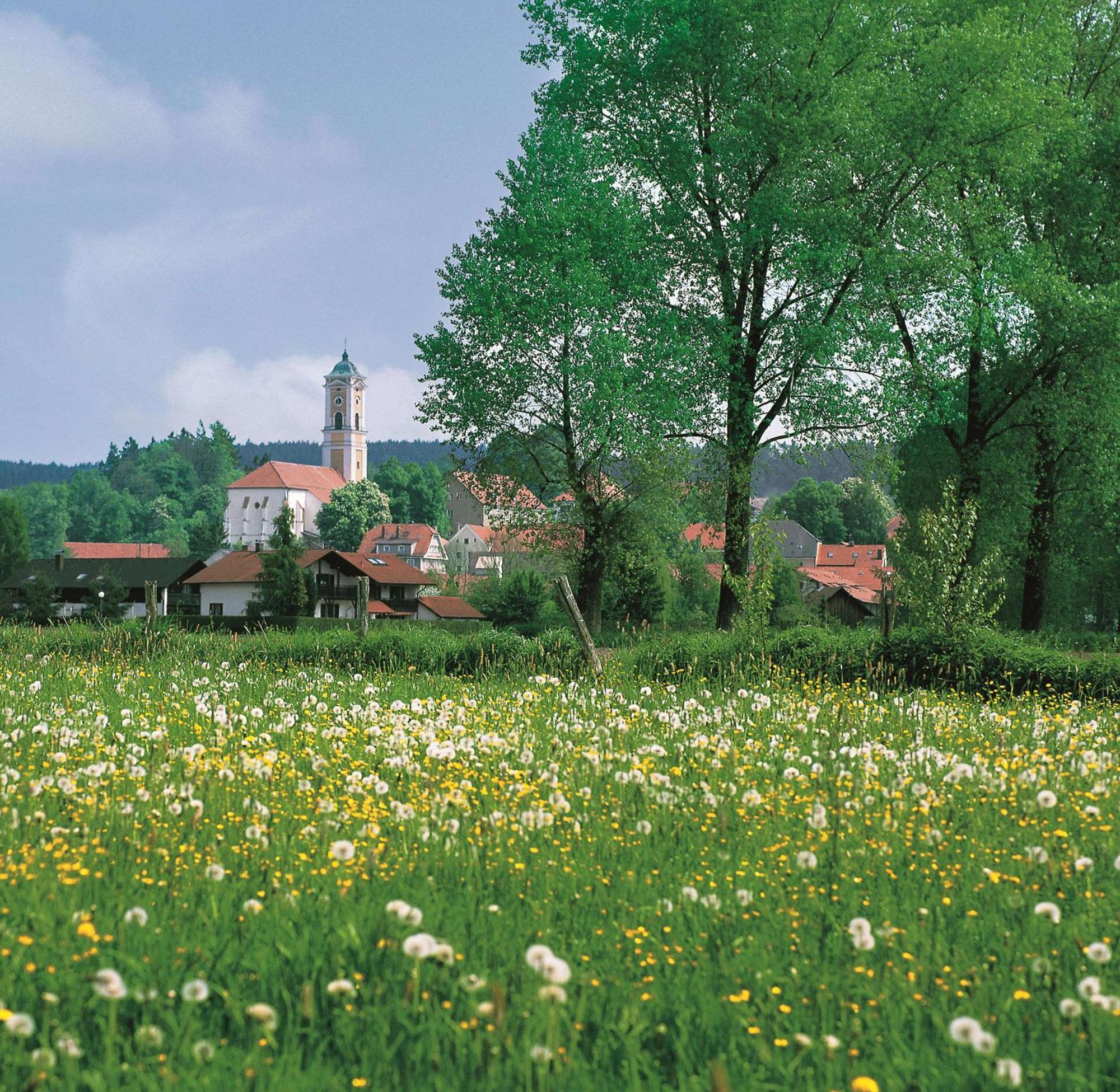 Best Western Aparthotel Birnbachhoehe Bad Birnbach Exterior photo
